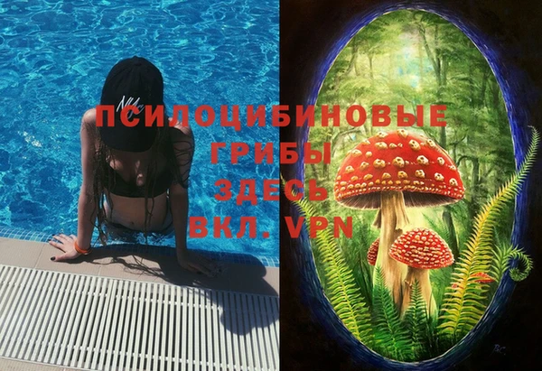 круглые Абаза