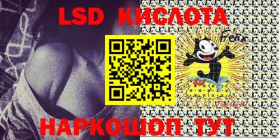 spice Камышлов