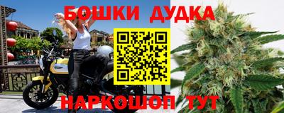 spice Камышлов