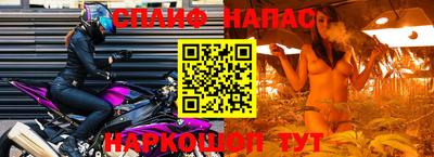 spice Камышлов
