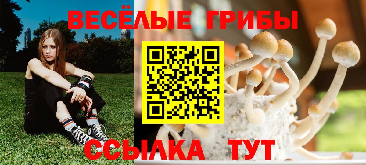 закладка  Псилоцибиновые грибы ЛСД  Псилоцибиновые грибы GOLDEN TEACHER  Вход с VPN  Усть-Илимск 